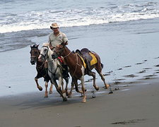 Costa Rica-Pacific Coast-Costa Rica Escape